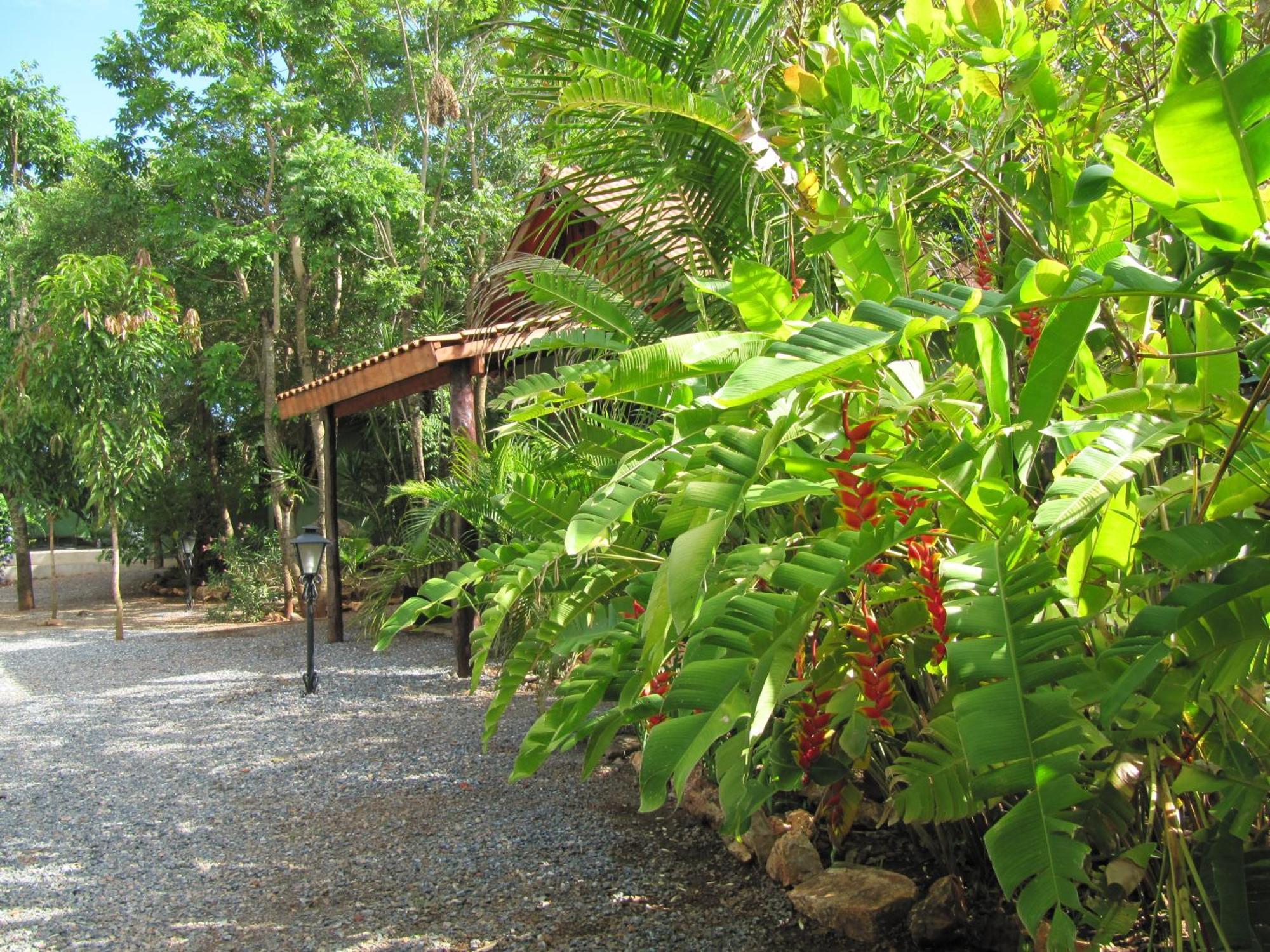 Eco Pousada Villa Verde Bonito  Eksteriør billede