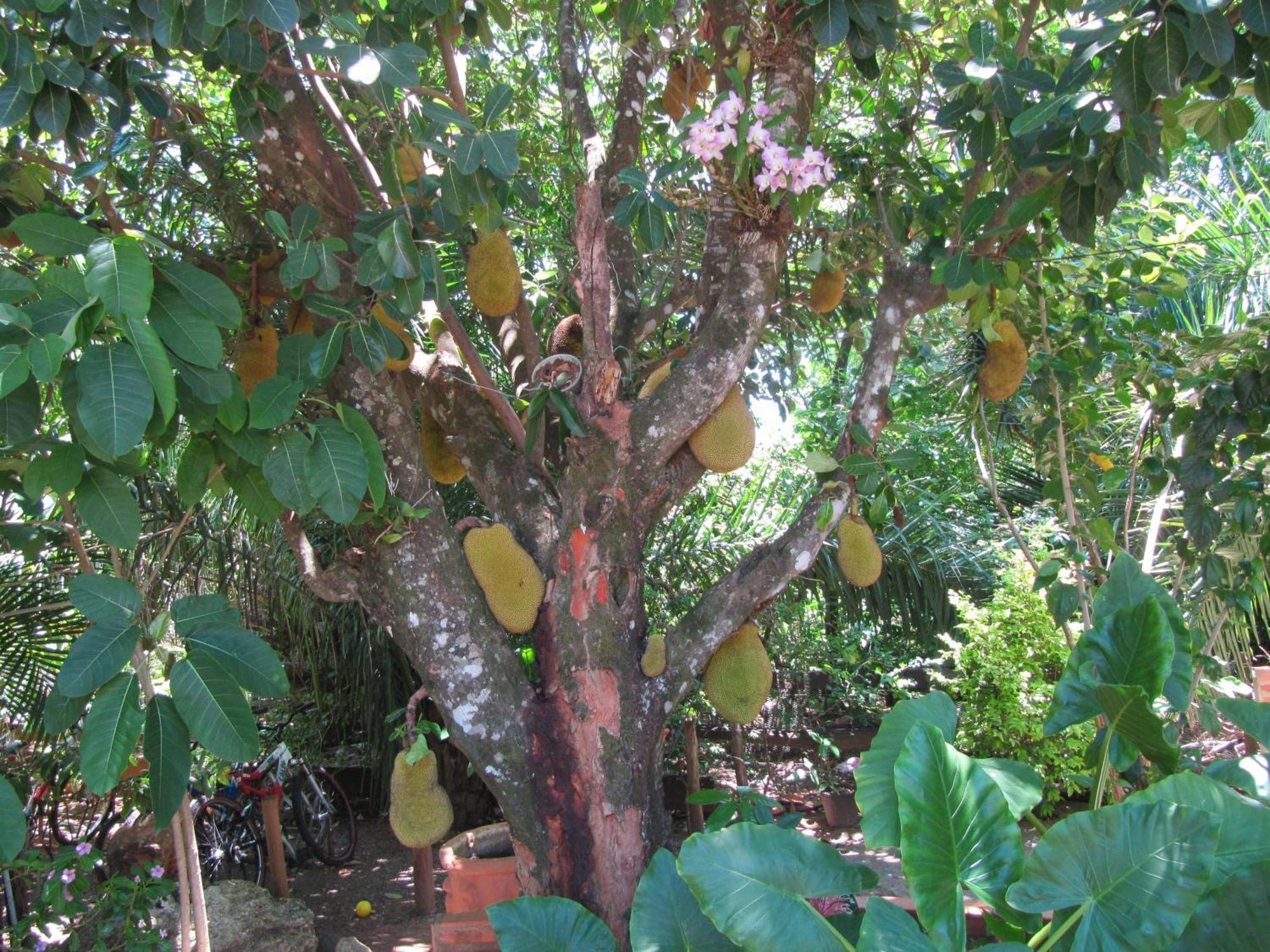 Eco Pousada Villa Verde Bonito  Eksteriør billede